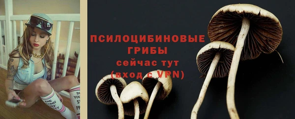 гашик Зеленодольск