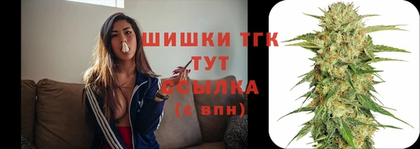 гашик Зеленодольск