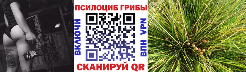 mega tor  Дегтярск  Псилоцибиновые грибы Magic Shrooms 
